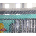 Venta caliente Gabion Baskets Precios / Gabion Box Precio / Gabion Baskets Factory